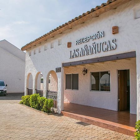 Cabanas Las Ananucas II ลาเซเรนา ภายนอก รูปภาพ